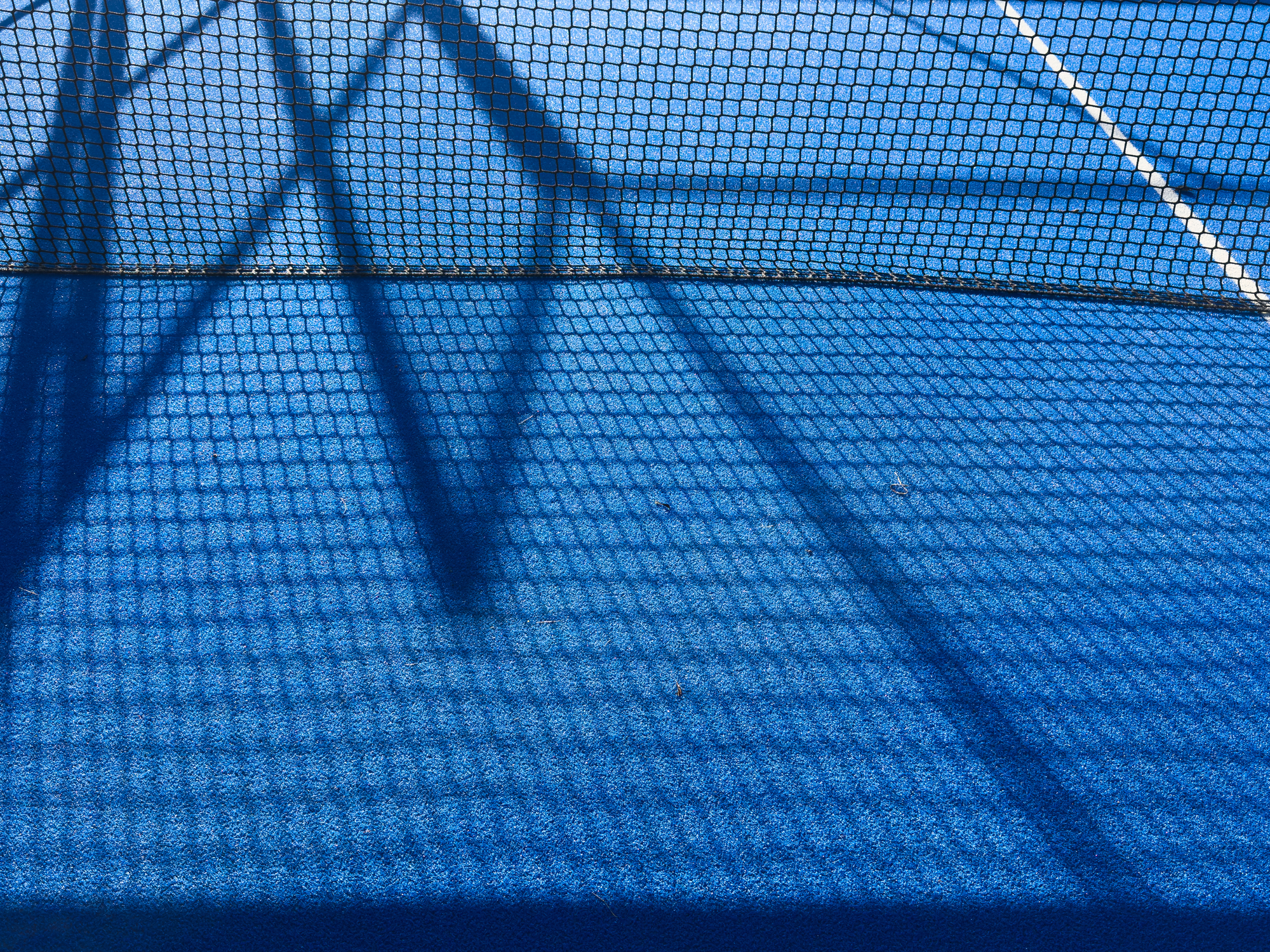 The Blue Synthetic Grass Surface Of A Paddle Tennis Court, Near The Net